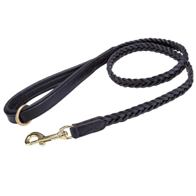 Personalized Pet Leashes with Custom Logo Dog Collar and Rope Leash Wholesale Manufacturer