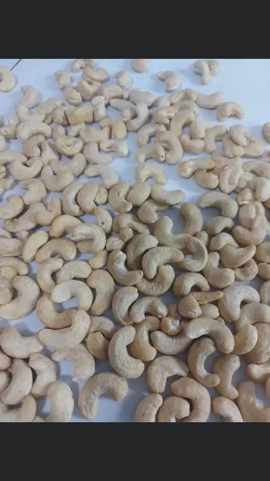 [New Season] Cashew Nuts SW320 SW240 From Vietnam Hot Sale Cheap Price High Grade Quality