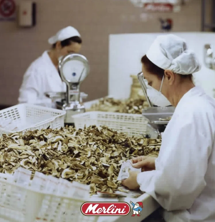 BEST - ORGANIC DRIED MIXED MUSHROOMS Premium Quality Made in Italy 20g for Export WILD 0.03 Kg Boletus Dried,boletus Brown AD