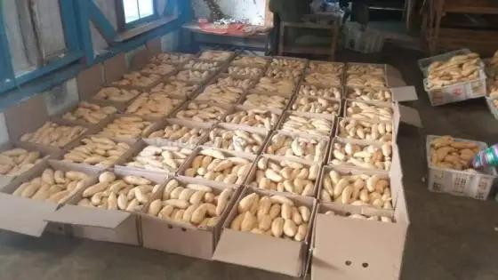 Свежий японский сладкий