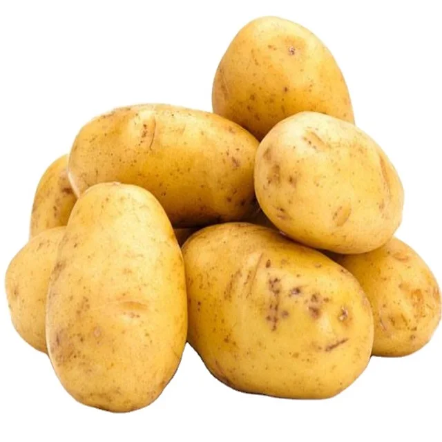 Wholesale China fresh yellow potato