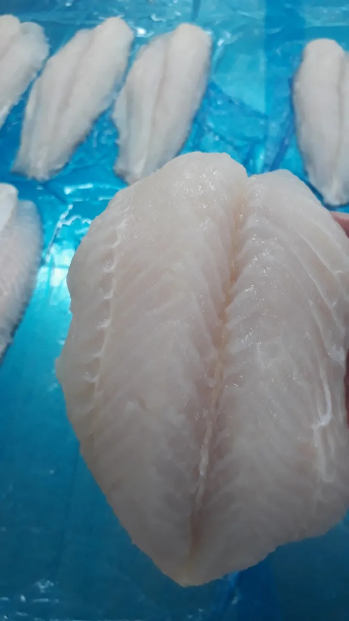 Nutritious Frozen Pangasius fillet/ Pangasius Bocourti fillet/ Basa fish fillet with Good Price