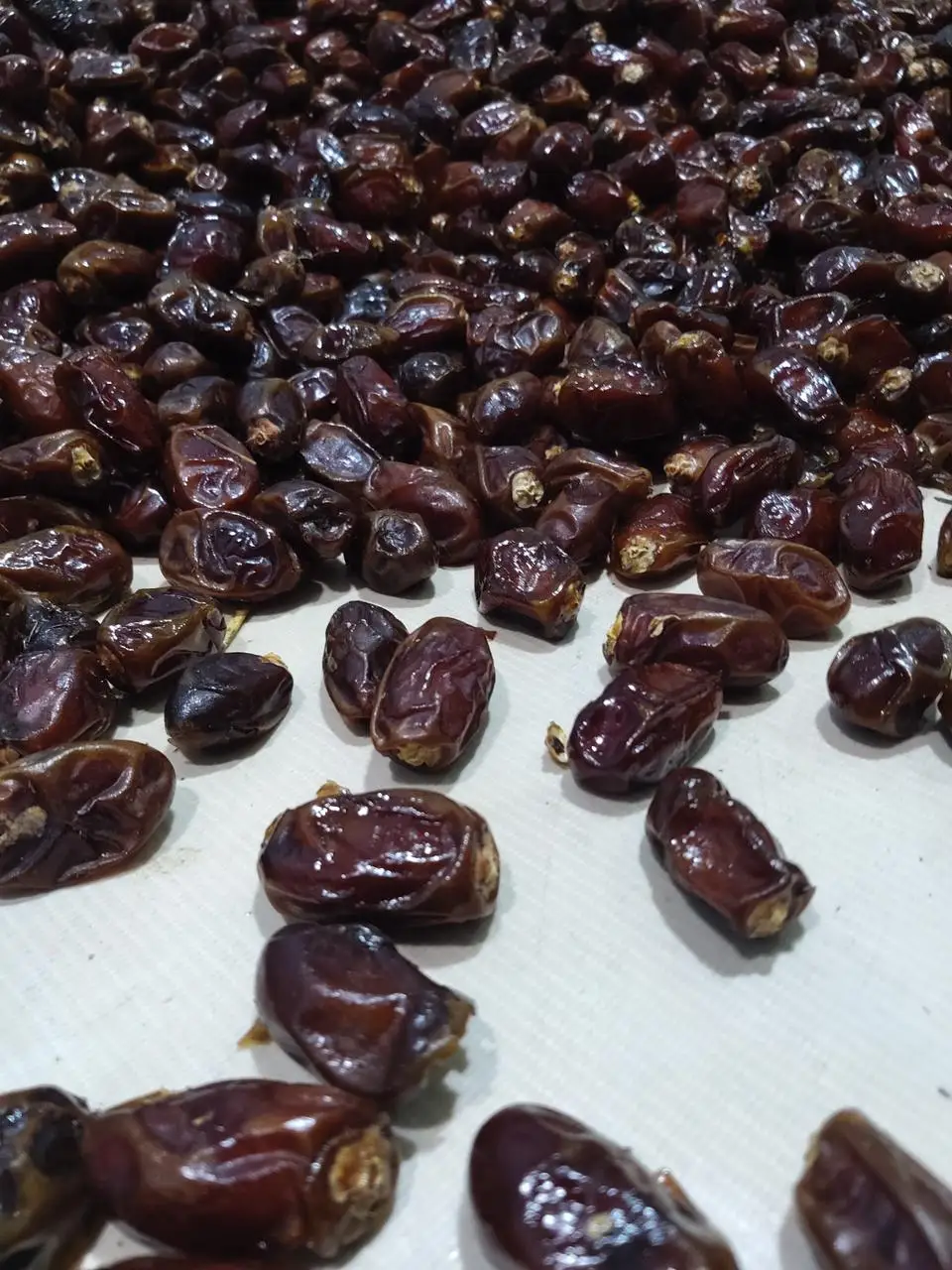Свежие качественные косточки KHAJOOR без семян, измельченные даты, большое количество, смешанные даты
