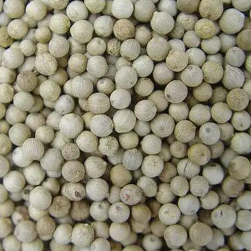 
TOP QUALITY WHITE PEPPER VIETNAM POPULAR SPICES WHITE PEPPER FOR WHOLESALE 