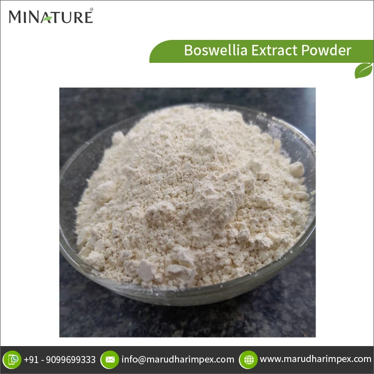 Bulk Quantity Supplier of Best Quality Natural Boswellia Extract Powder at Wholesale Price