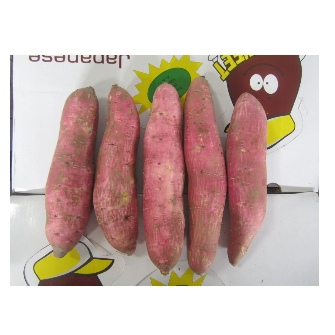 Лучшая цена оптом свежий сладкий картофель вьетнамские овощи-высококачественный