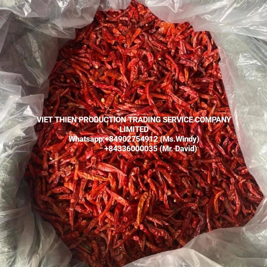 Dried chili best price best quality big quantity buy direct from farmer at Vietnam Hot Sale Spices Chili From Vietnam