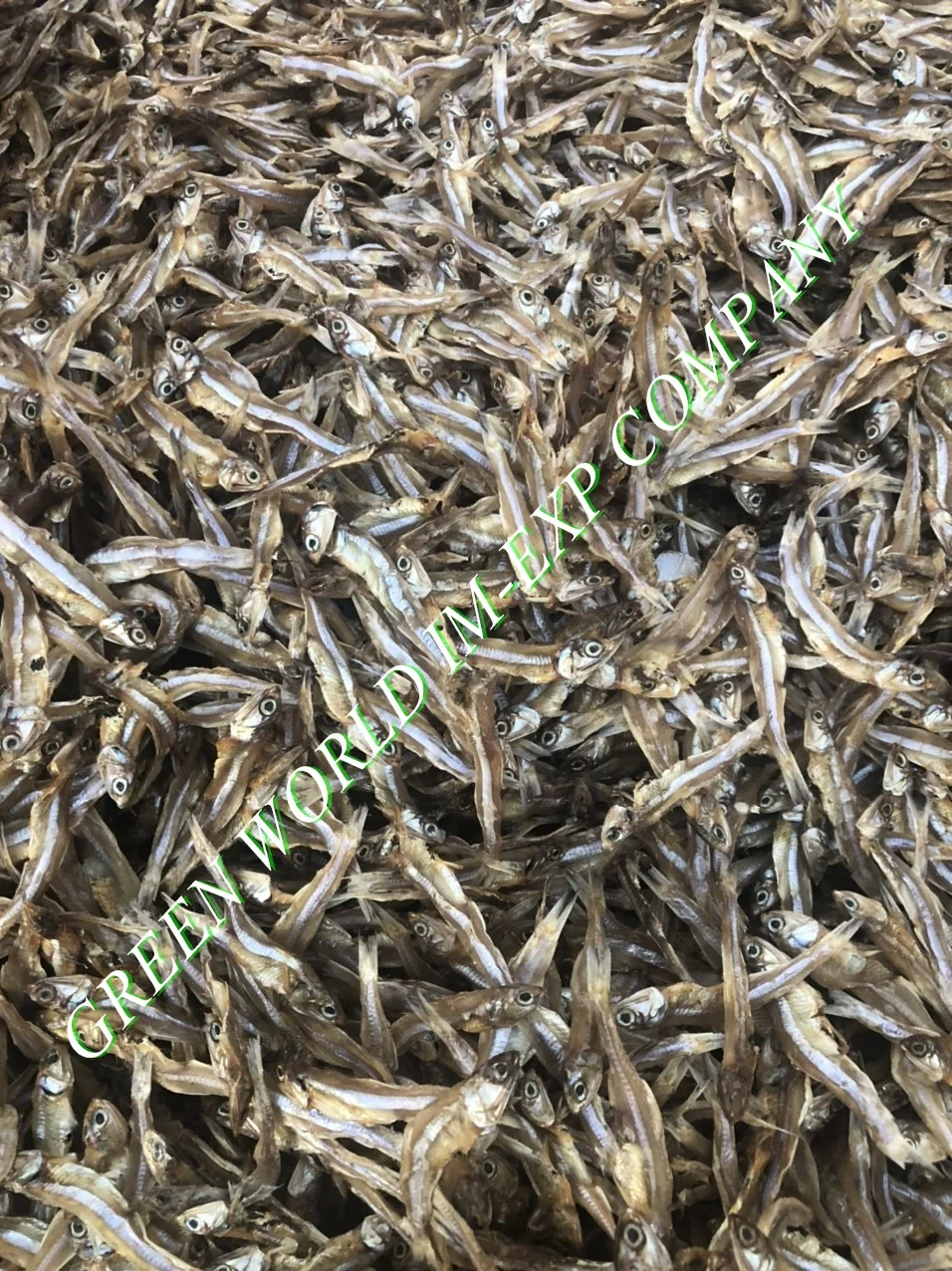 DRIED ANCHOVY FISH GOOD QUALITY