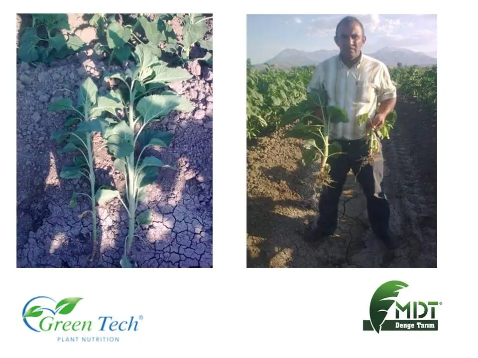 Green Tech Ferro-Mix - EC Fertilizer  - Liquid Fertilizer  - Fertilizer Solution With Iron Content
