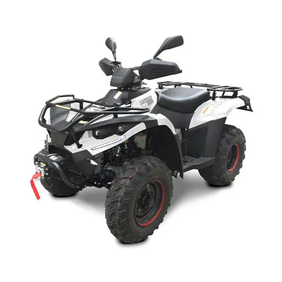 Внедорожник для взрослых 4x4 багги 1000CC внедорожник atv/utv