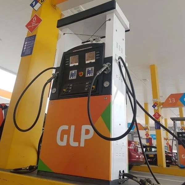 
2A LPG Dispenser Punto Star FOUR italian type nozzle with massflow meter galvanized case for Fuel LPG GLP station 