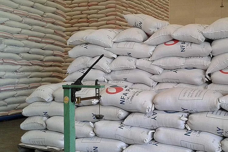 Рис Japonica 5% разбитый вьетнамский круглый рис оптовая продажа риса из Вьетнама