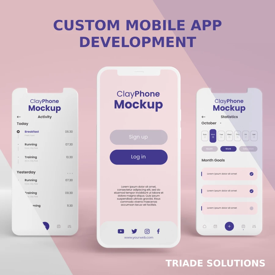 School / College  Management Software System  Customizable Software Development by Triade Solutions