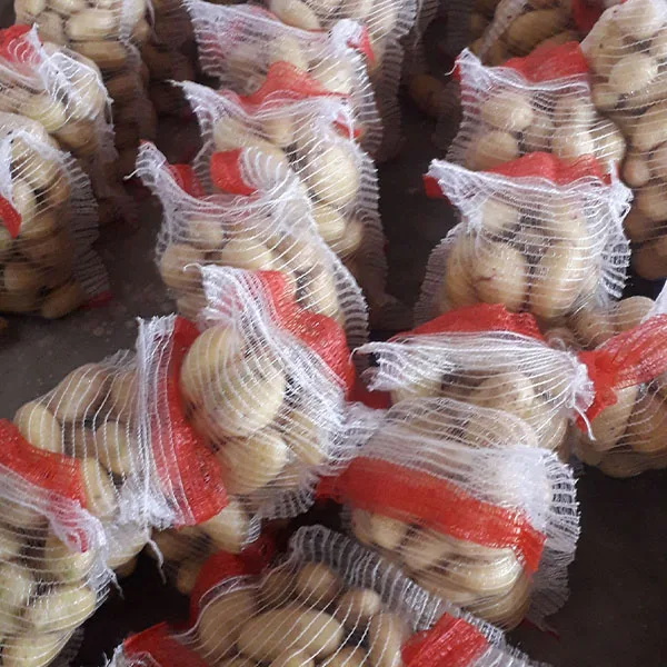 Top Quality and Low Price fresh Mozika Potatoes for french fries