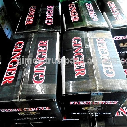 FRESH GINGER for export / +84984418844 Whatsapp