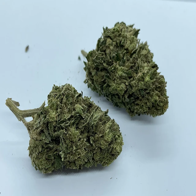 
AMNESIA CBD - Premium Quality 