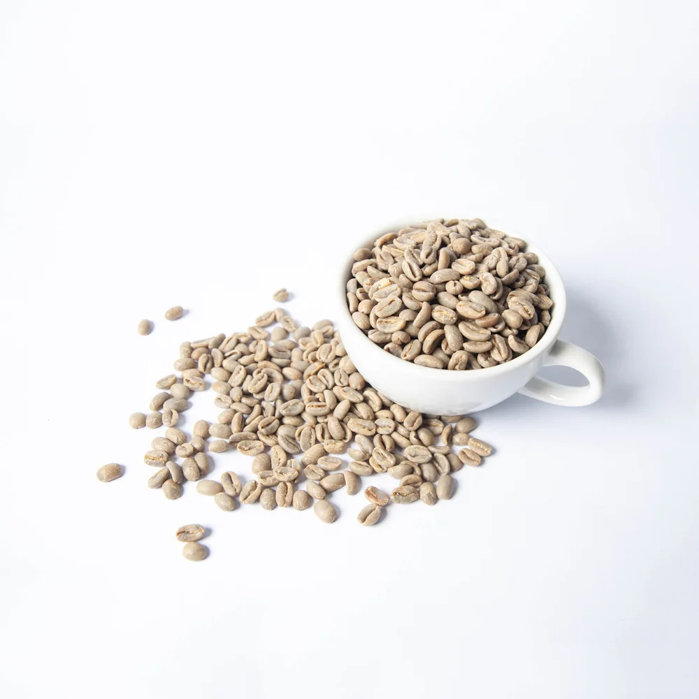 
Panama Kotowa Las Brujas Geisha Green Coffee Beans Wholesale Franchise For Sale 