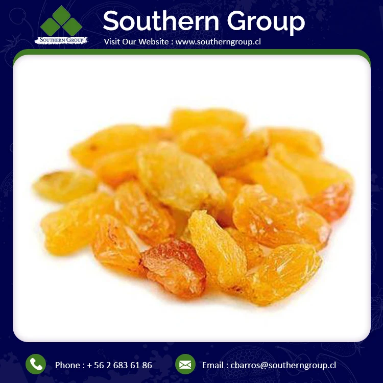 
High Quality Best Seller Factory Price Wholesale Golden Raisins for Sale 