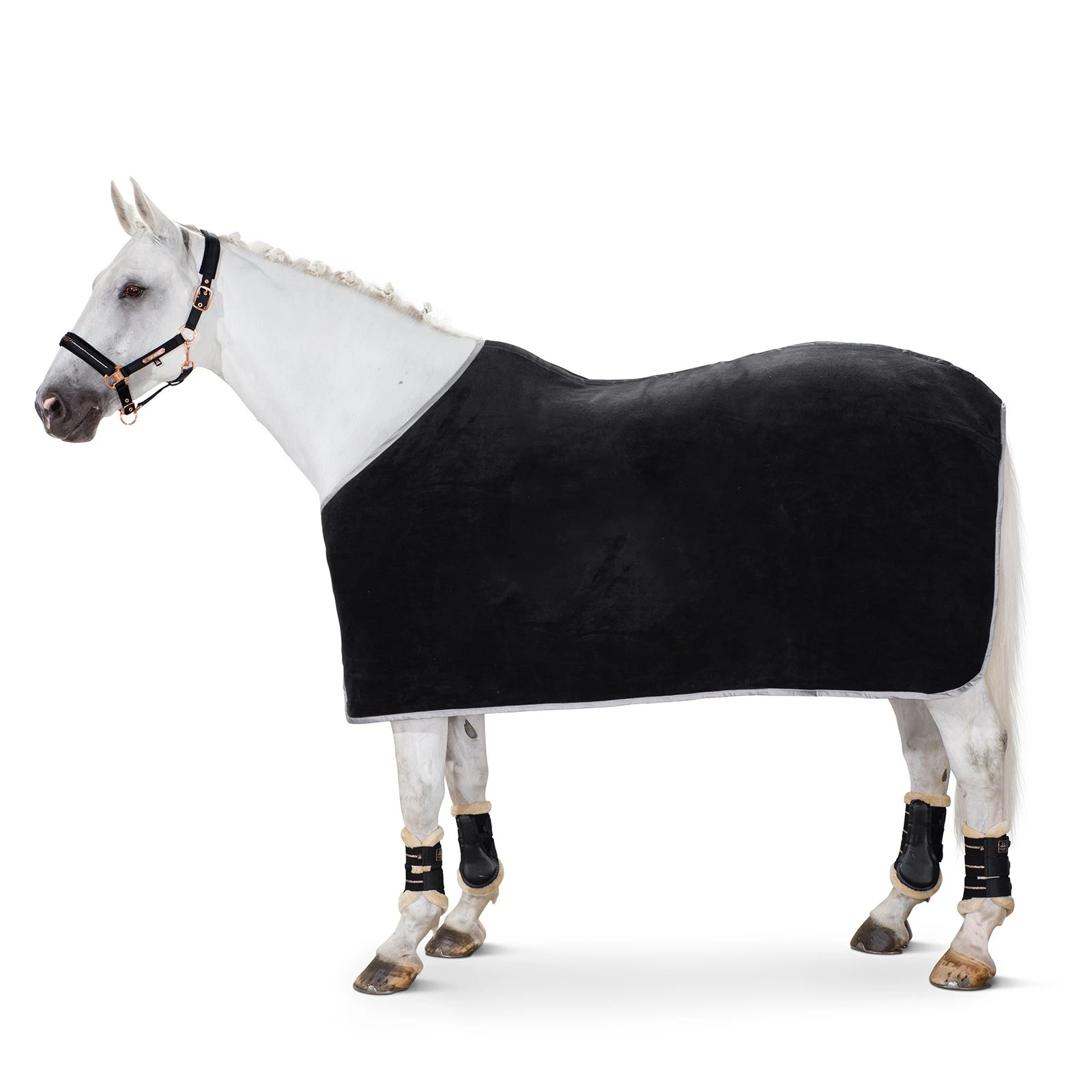 Quilted Heavy Weight Nylon Polyester Warm Winter Horse Rug Magenta Windproof Waterproof Stable by Canleo International