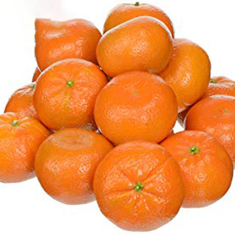 Montale Fresh Orange Summer Valencia oranges navel oranges