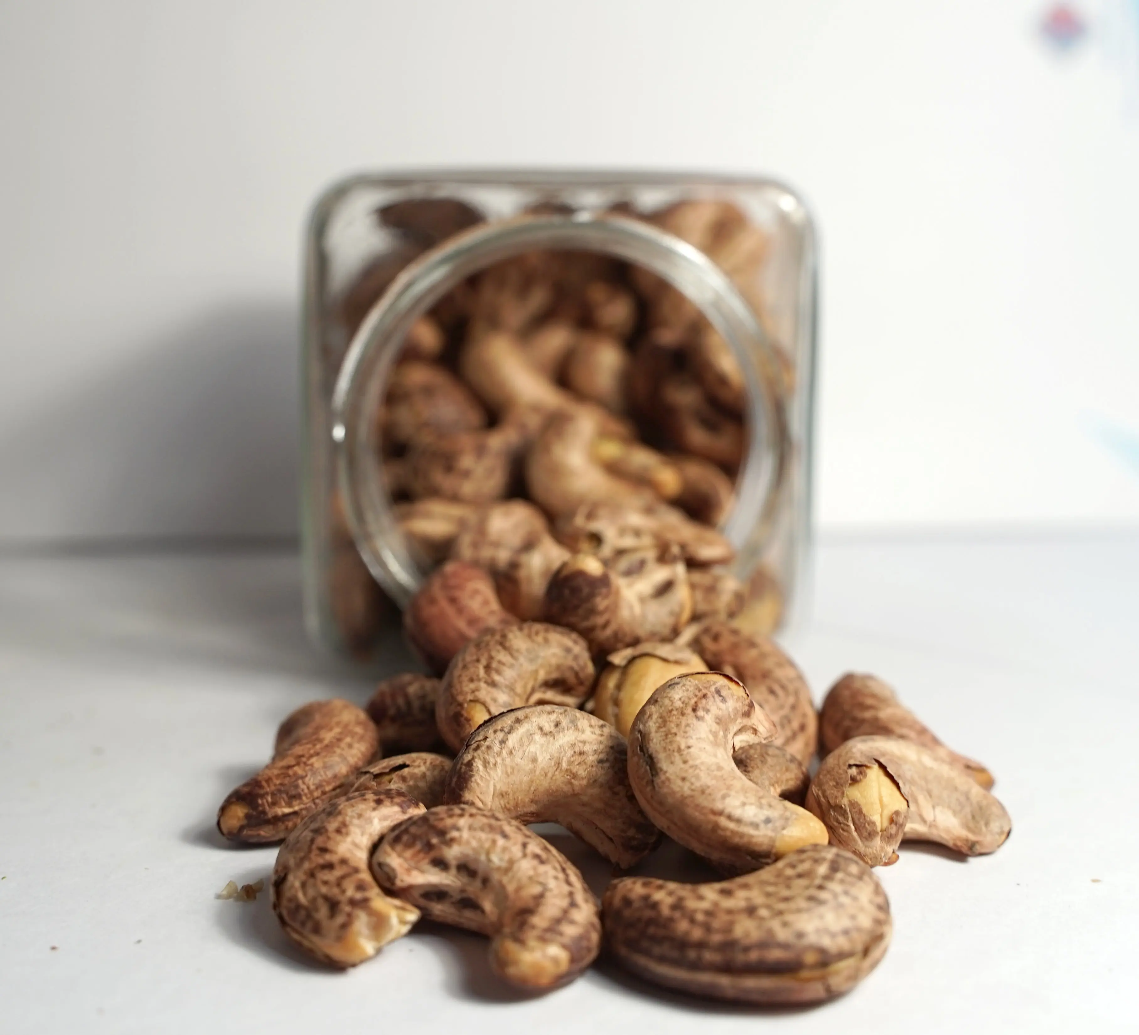 Vietnam Cashew Nuts at Factory Price Newest Crop for export