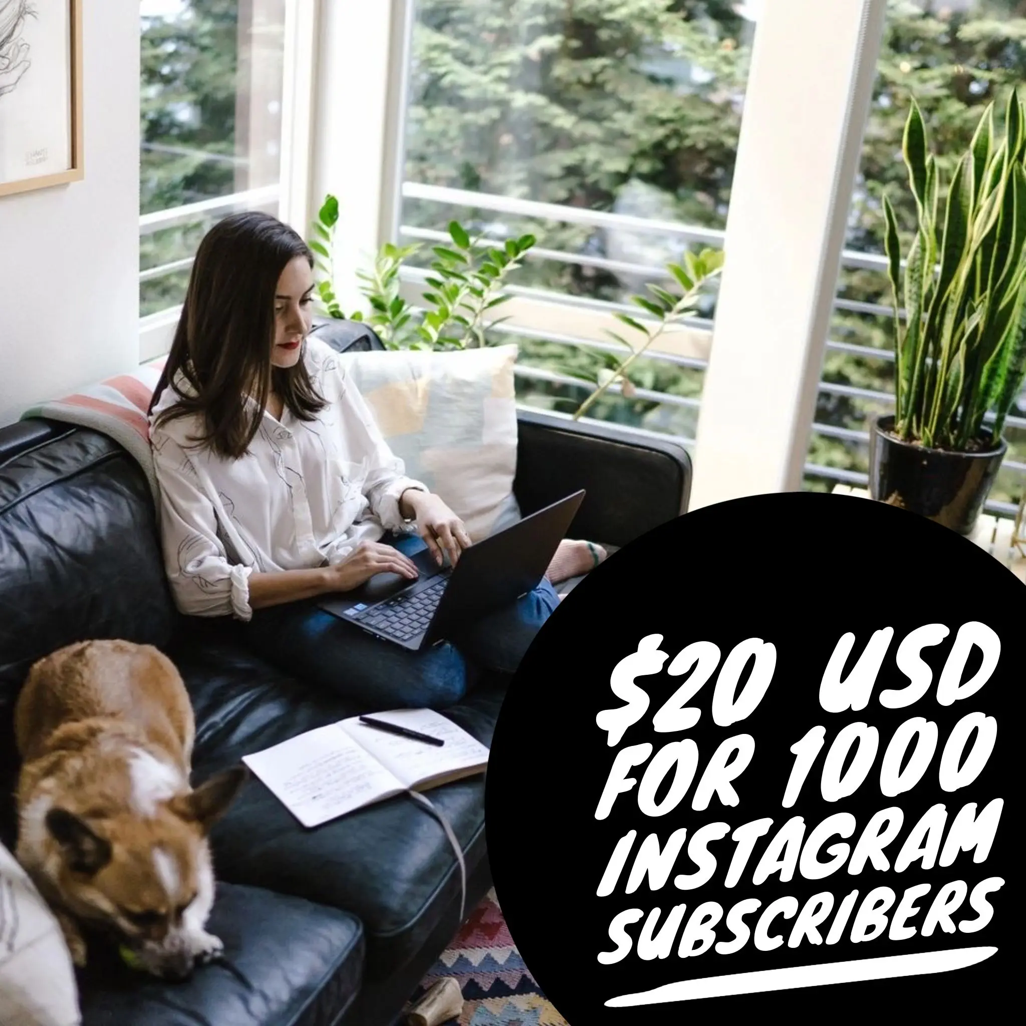 Online Business With Instagram Marketing - Get 1000 Instagram Followers for $20 USD