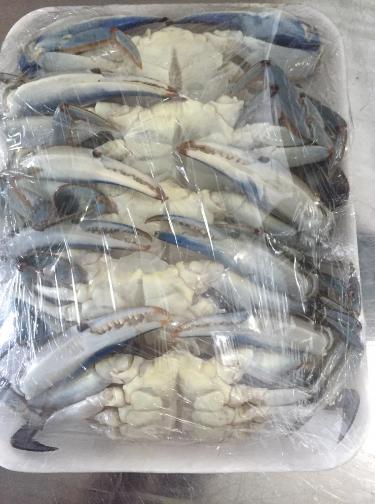 Замороженные голубые крабы для плавания оптом