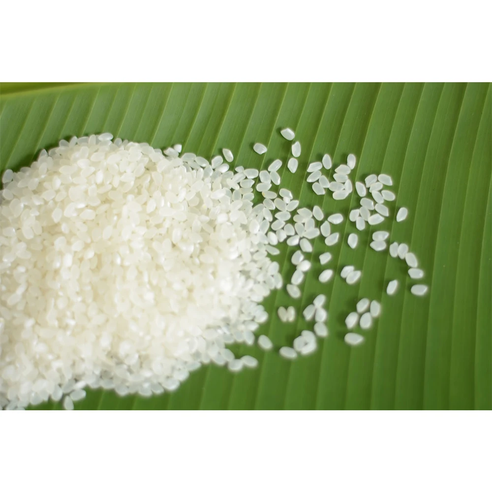 New Crop Japonica Pemium Short Grain Sushi Rice