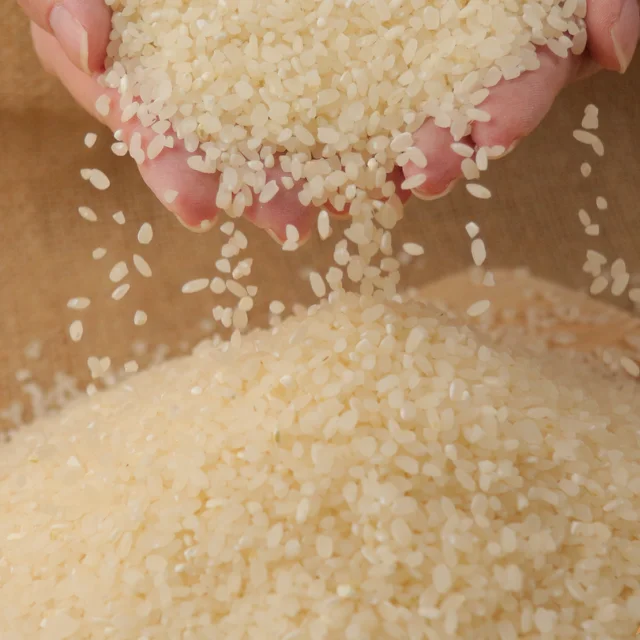 New Harvest Excellent Grade Vietnam Japonica Rice Good Price 15% 10% 5% Broken Rice Exporter