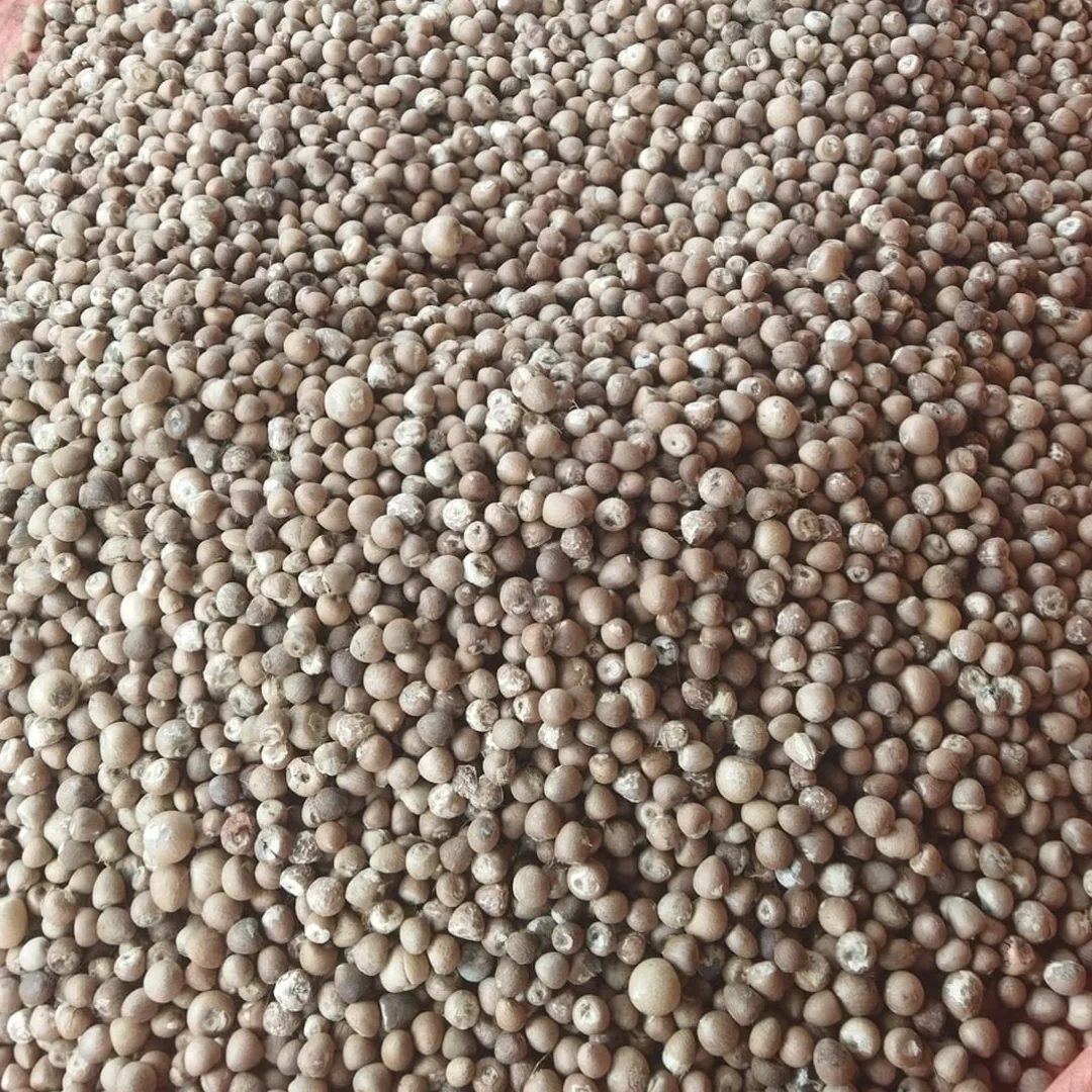 Betel Nut High Quality Origin Indonesia