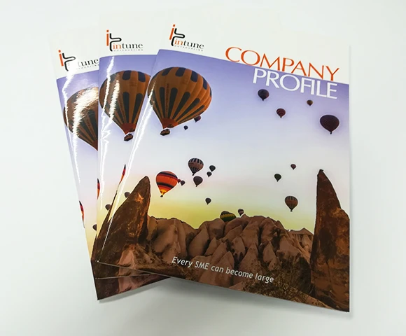 Customized Design Softcover Company Profile Booklet Printing Saddle Stitched / Any Binding Book Printing Service