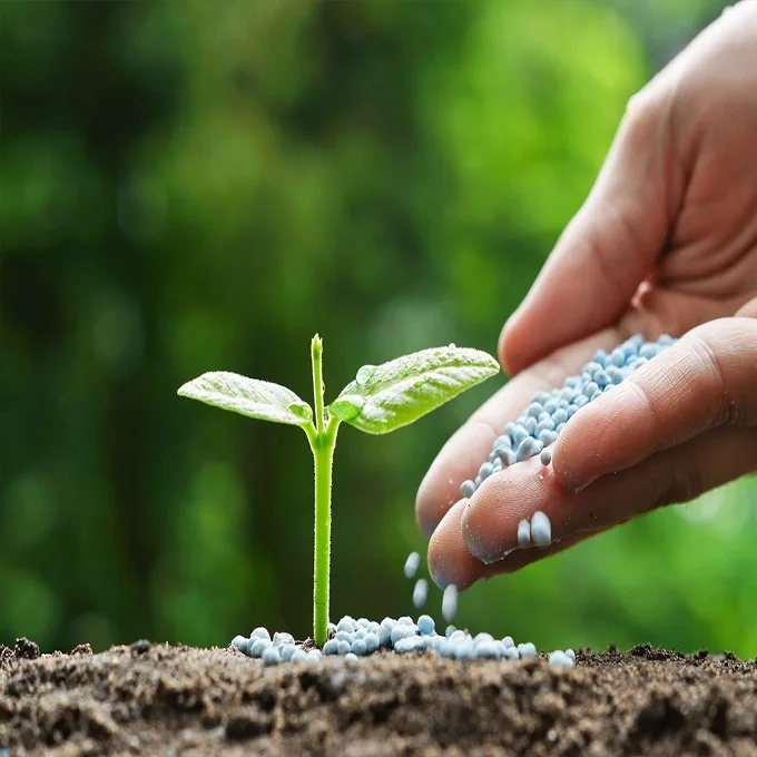  NPK Organic Compound Phosphate DAP 18-46