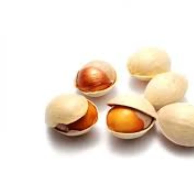 Hot Selling 100% Pure Ginkgo Nuts Good Price