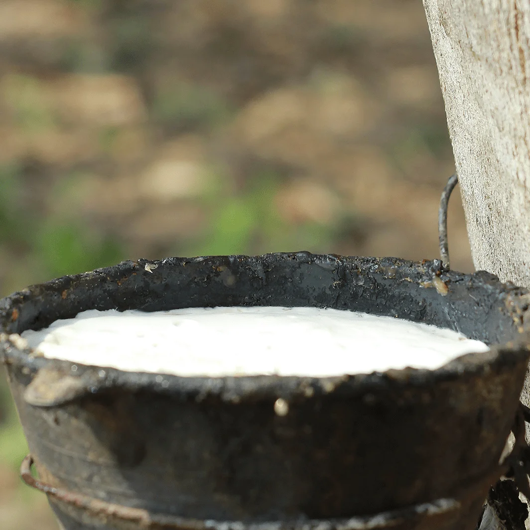 HIGH QUALITY NATURAL RUBBER CUP LUMPS WITH 62-72 % drc/Best Grade Rubber Cup Lump with Drc of 72%