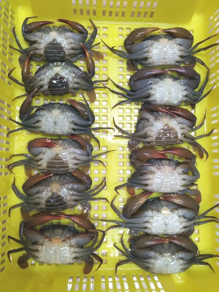 Мягкий круглый