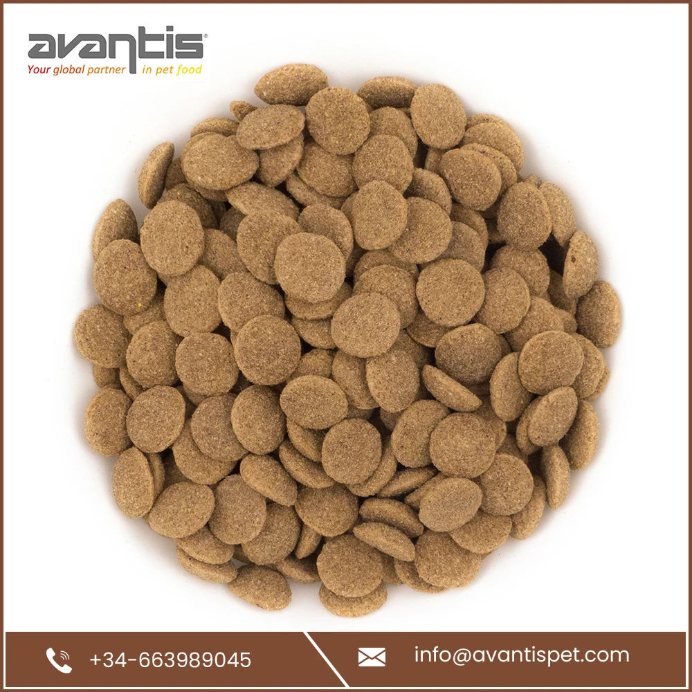
Factory Price Wholesale Tasty Dog Food for Best Immunity 