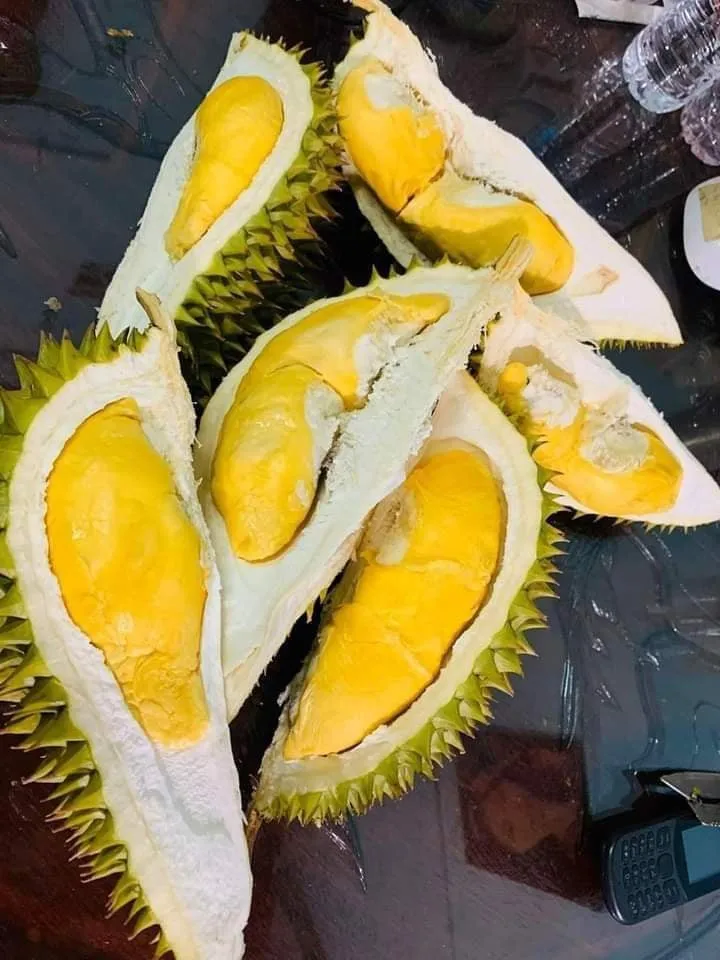 Оптовая цена-Премиум RI6/ MONTHONG DURIAN/мисс Триш + 84 984 696 874