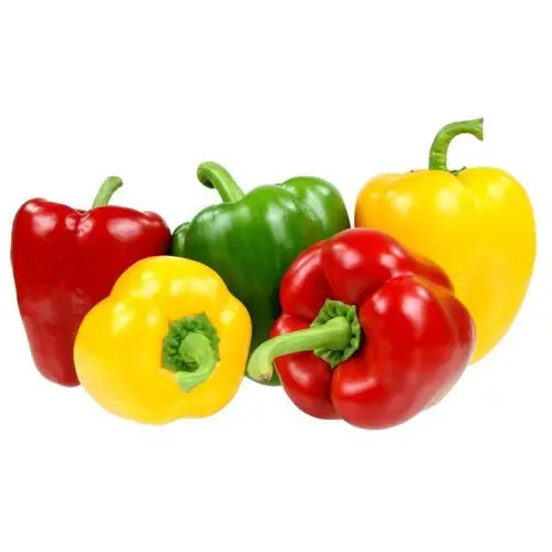 Wholesale Capsicum / Fresh Capsicum Vegetable ,Capsicum Yellow