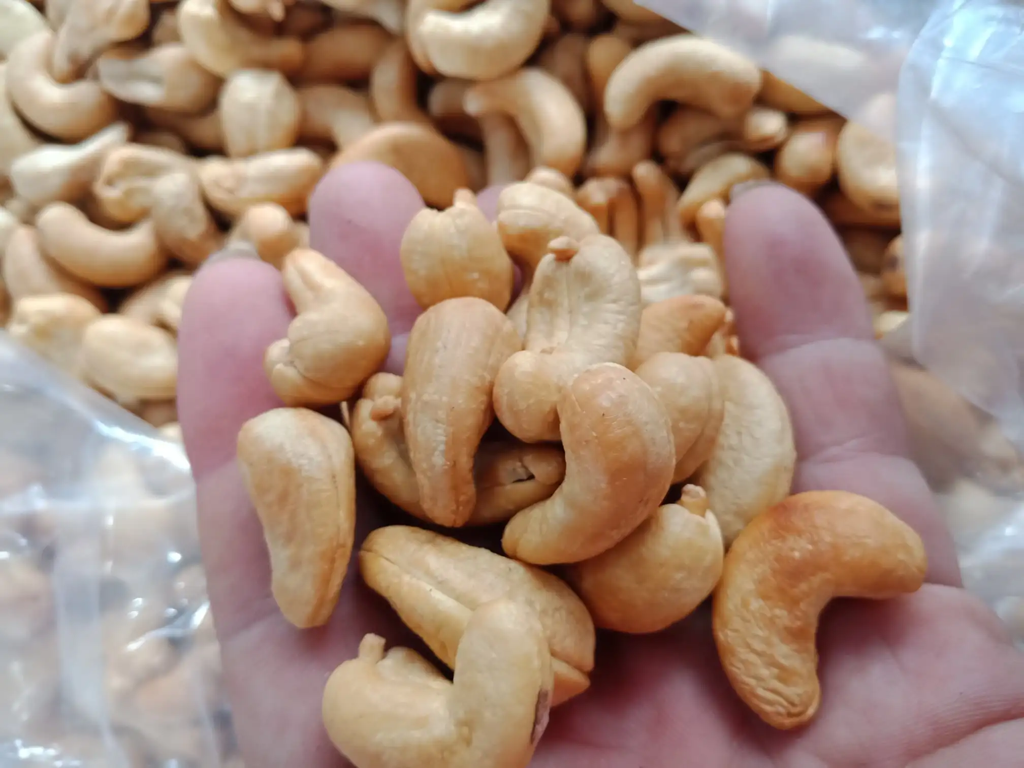 Сырые орехи кешью экспорт из Вьетнама оптовая продажа высокое качество (Сертификация: GAP HACCP...) -100% органический