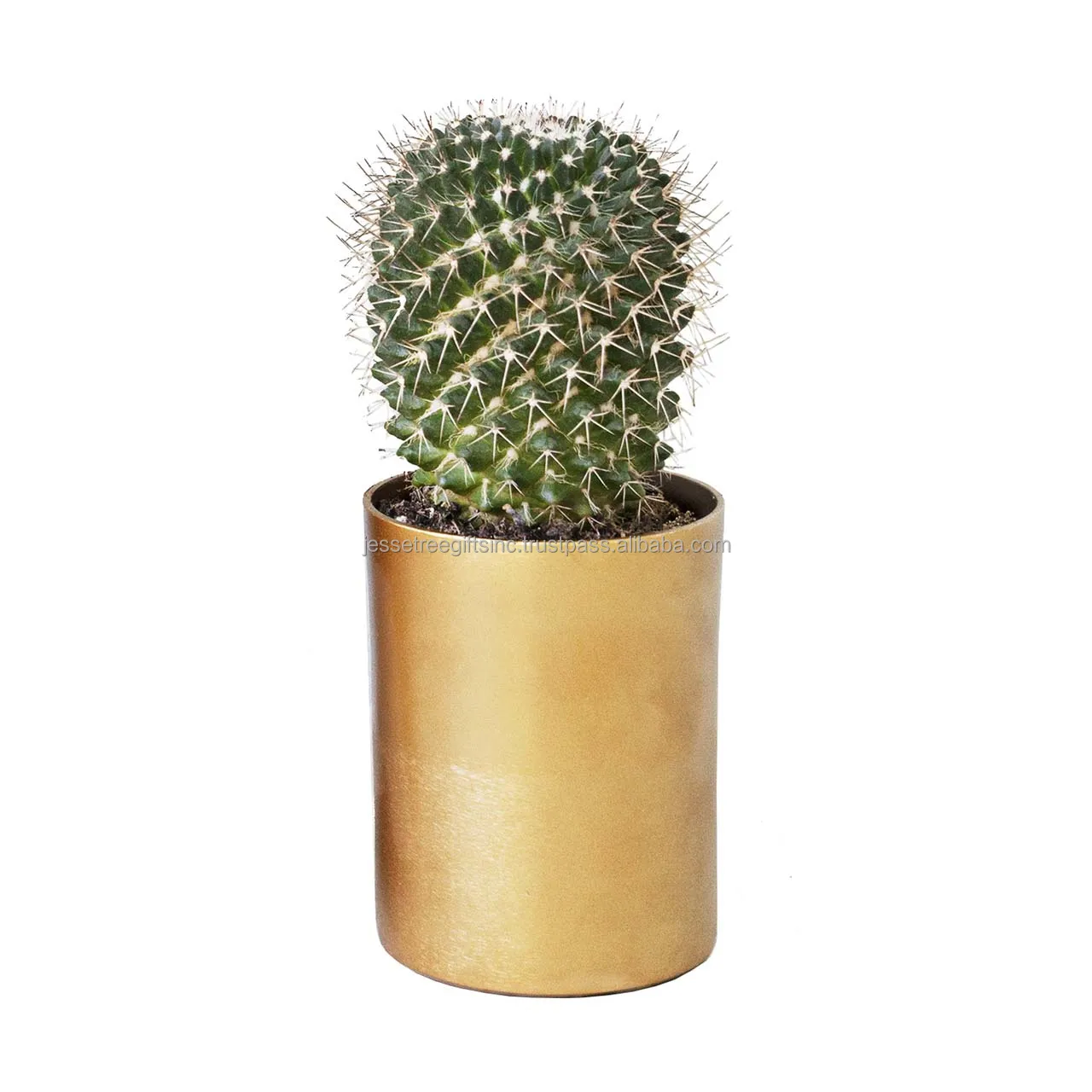 Metal Sheet Planter With White Powder Coating Finishing Embossed Design Oval Shape Genuine Quality For Garden Decoration