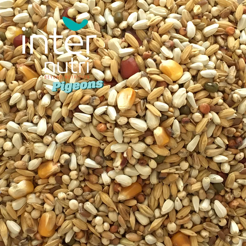 
Seed mixture for pigeons | INTERNUTRI PIGEONS SUPER LIGHT 20KG 
