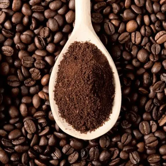 
High Grade Arabica Roasted Coffee Beans for export 