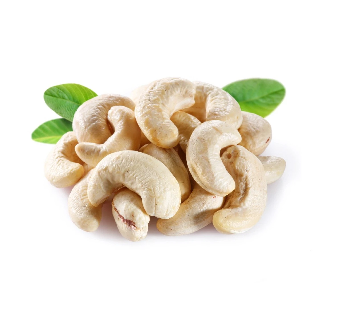 
Manufacture Products Roasted Salted Vietnam Export Products Cashew Kernel Nuts 