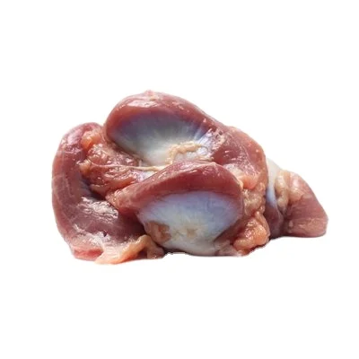 TOP QUALITY HALAL FROZEN TURKEY GIZZARDS | FRESH TURKEY GIZZARDS