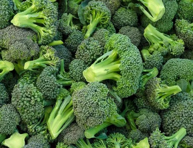 
Supplying frozen broccoli from Vietnam with best price_Vikafoods (+84983028718). 