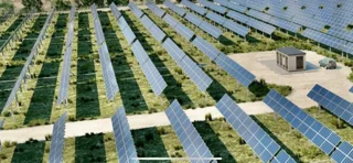 Placas campo