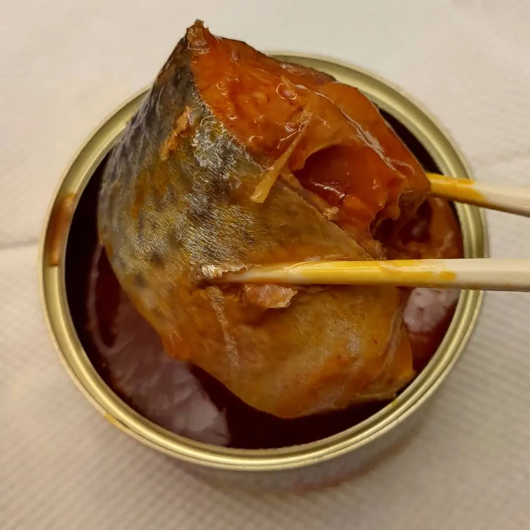 Canned mackerel in tomato sauce