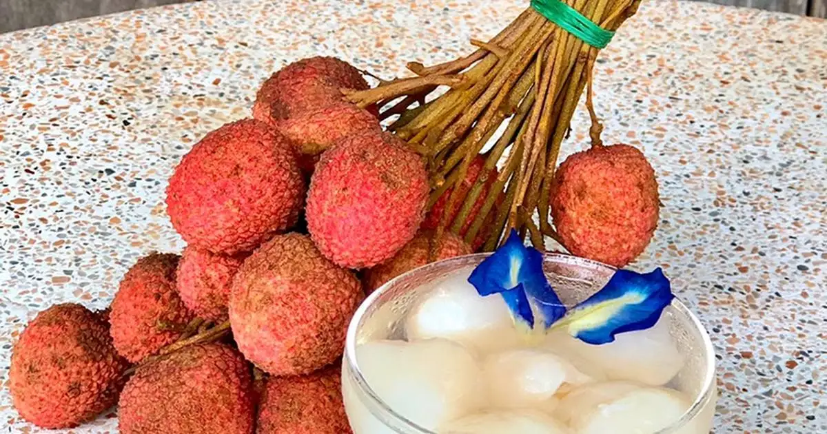 Canned Lychee in Syrup Sweet Delicious  Rich in Minerals and Vitamins Premium Quality from Thailand for 100% Export