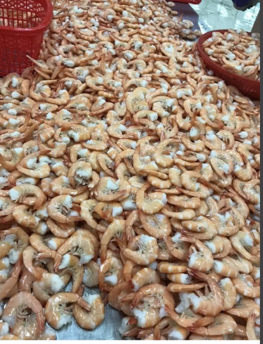 Top quality Vannamei Shrimp HLSO, Headless, Shell On Cheap Frozen Seafood made in Vietnam Shrimp on sale