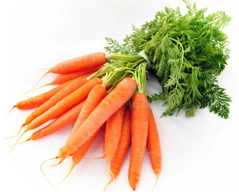 
fresh carrots, fresh from OOTY fields, 